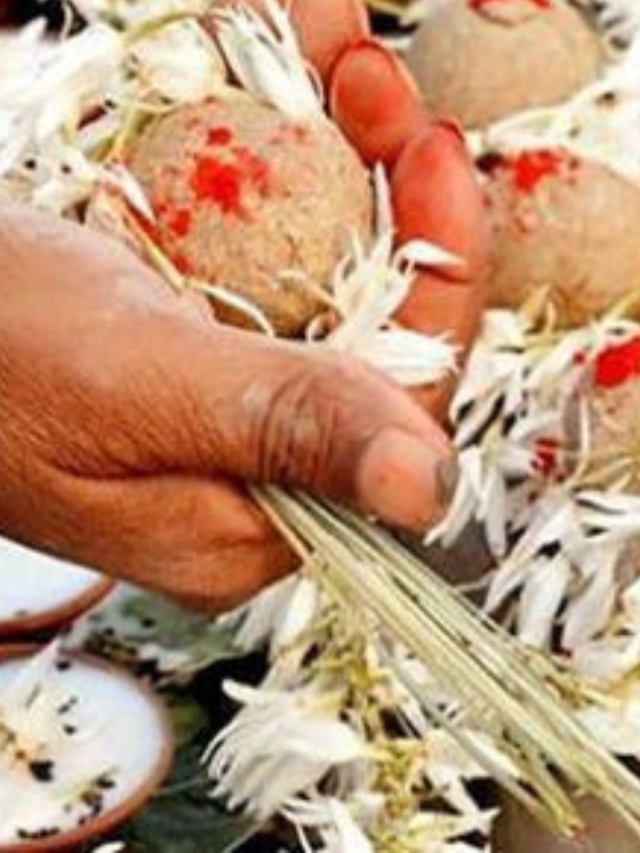 8_20240409_115519_0007