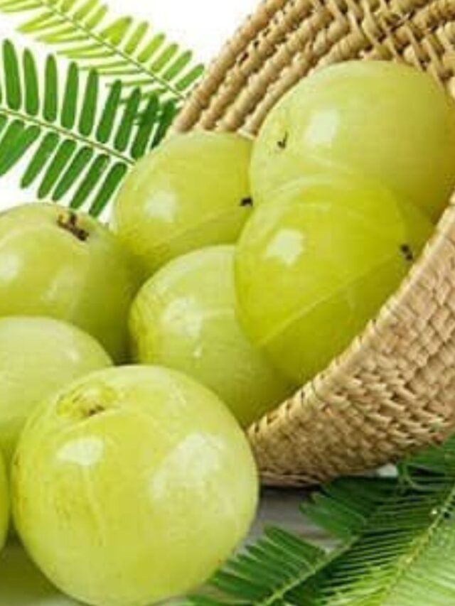 आंवला à¤à¤• à¤à¤¸à¤¾ चीज है जो सà¥à¤•िन को खूबसूरत रखने के साथ-साथ आयà¥à¤°à¥à¤µà¥‡à¤¦ में à¤à¥€ लेने की सलाह दी जाती है