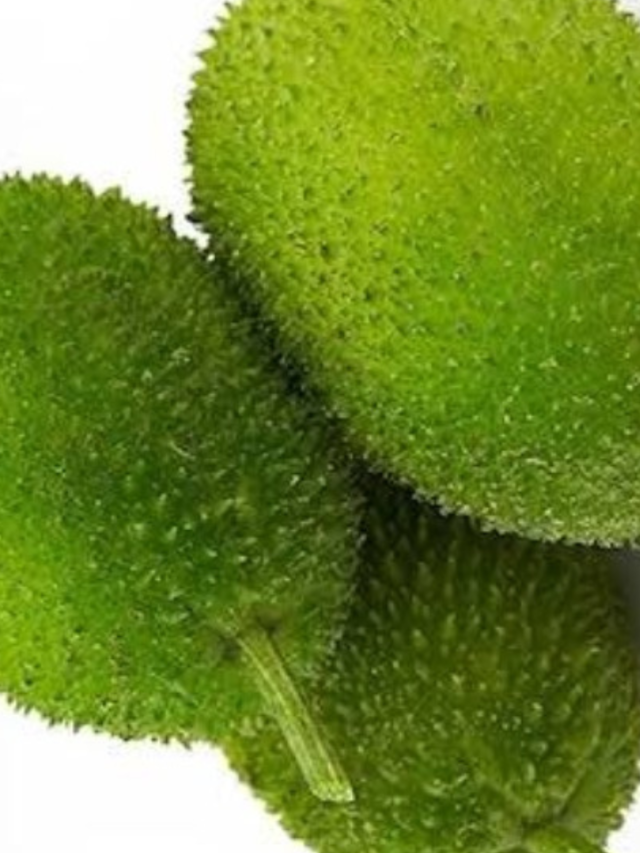 पेट की चरà¥à¤¬à¥€ के साथ-साथ बीपी को à¤à¥€ कंटà¥à¤°à¥‹à¤² करता है ये कांटेदार सबà¥à¤œà¤¿à¤¯à¤¾à¤‚