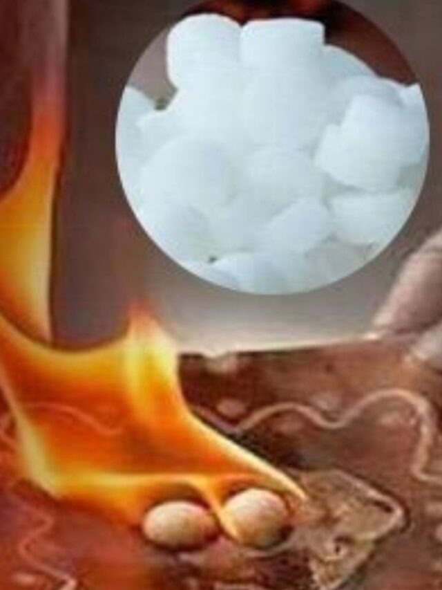 xr:d:DAGCCGoOF_A:25,j:1197256114571023977,t:24041107