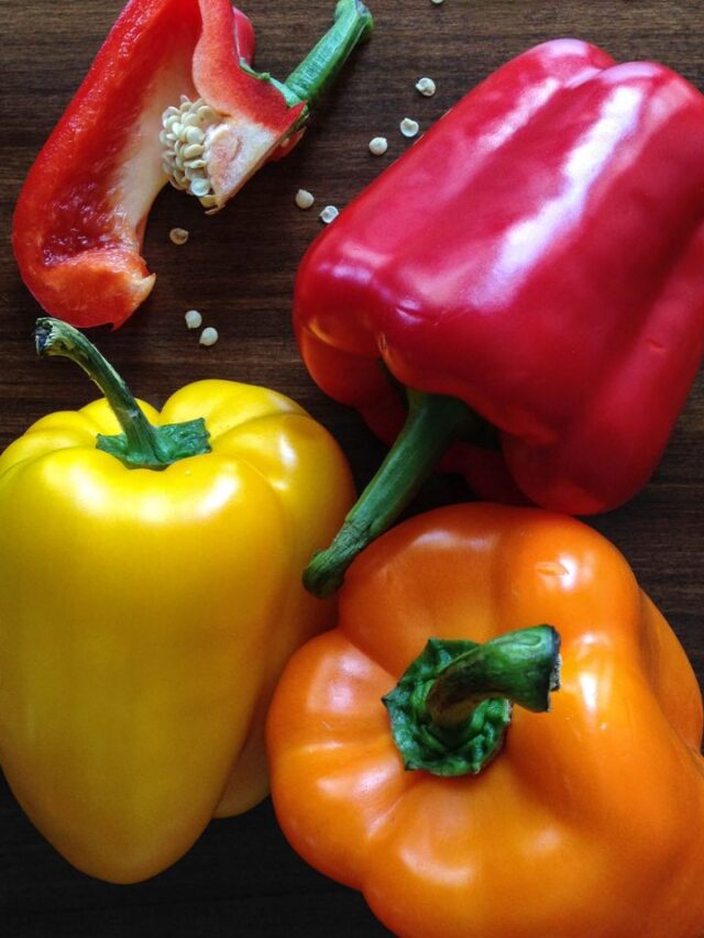 xr:d:DAGCIFA57mY:23,j:1853655856125800901,t:24041206