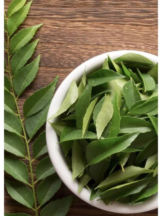 xr:d:DAGCM8G3two:7,j:6204133118575942325,t:24041211