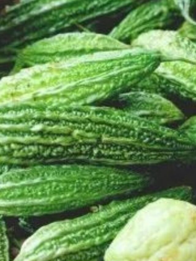 xr:d:DAGCNVYcGXw:14,j:8059616178165948688,t:24041214