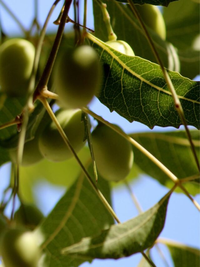 xr:d:DAGCR9JIFtY:14,j:1804116367617105737,t:24041307