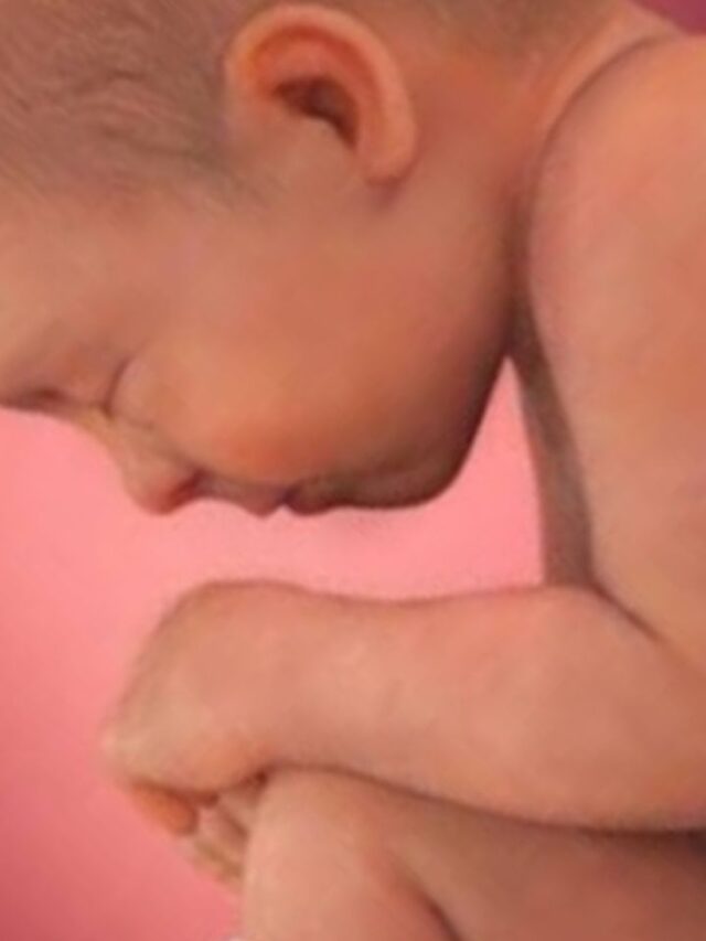 xr:d:DAGCSn3Nkwc:12,j:836968361028734500,t:24041310