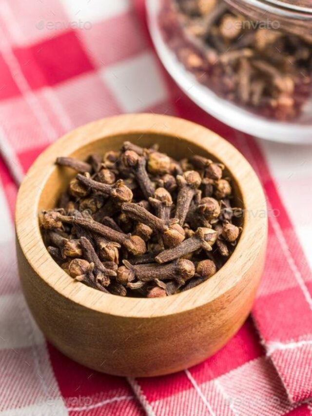 xr:d:DAGCTntcDoc:17,j:3320703579303321786,t:24041315