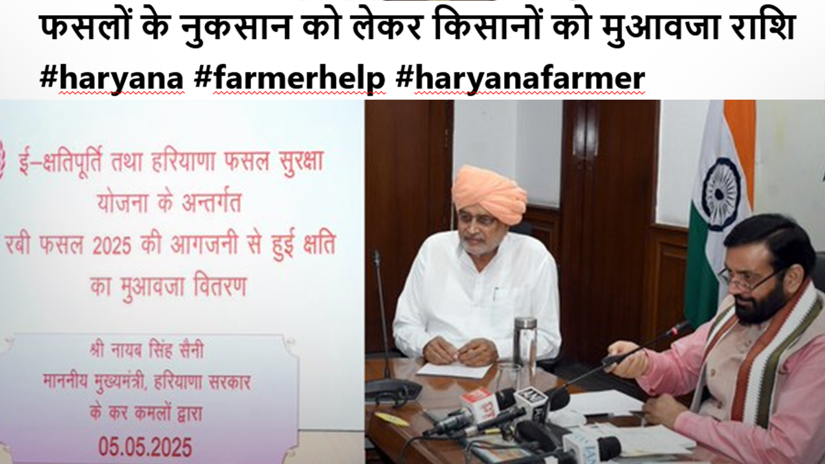 फसलों के नुकसान को लेकर किसानों को मुआवजा राशि #haryana #farmerhelp #haryanafarmer