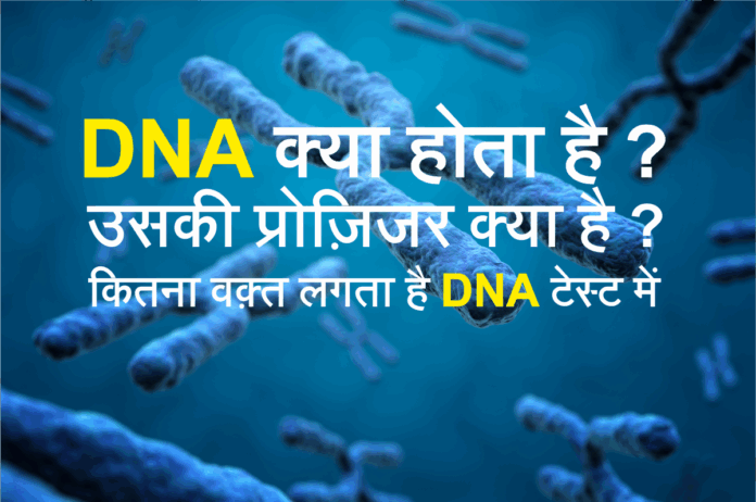DNA