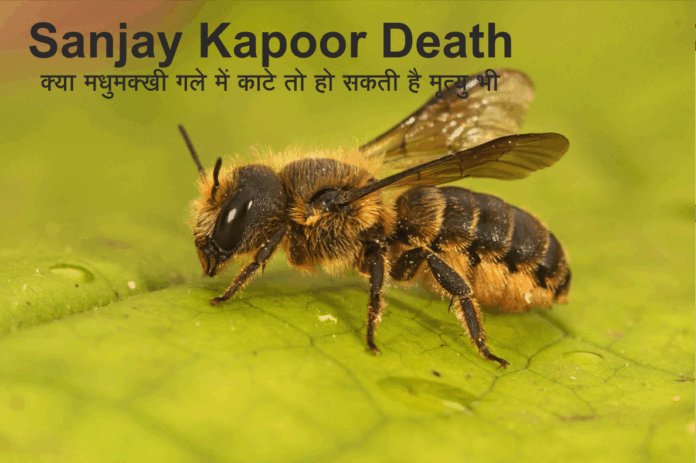 Sanjay Kapoor Death