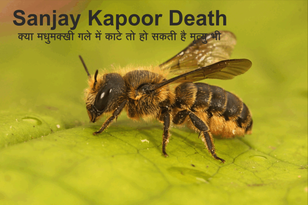 Sanjay Kapoor Death