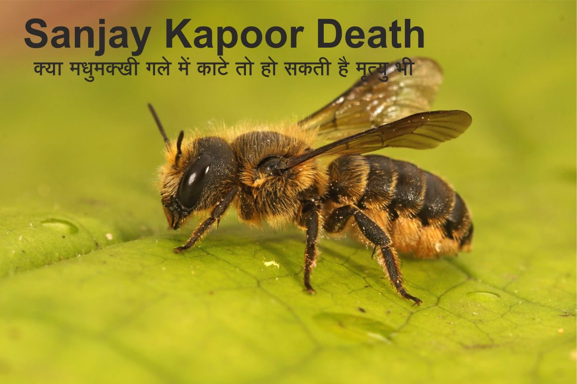 Sanjay Kapoor Death