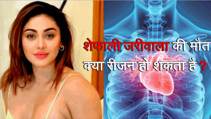 Shefali Jariwala News