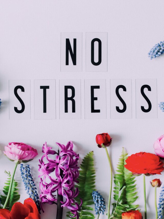 no-stress-2025-01-10-04-02-42-utc