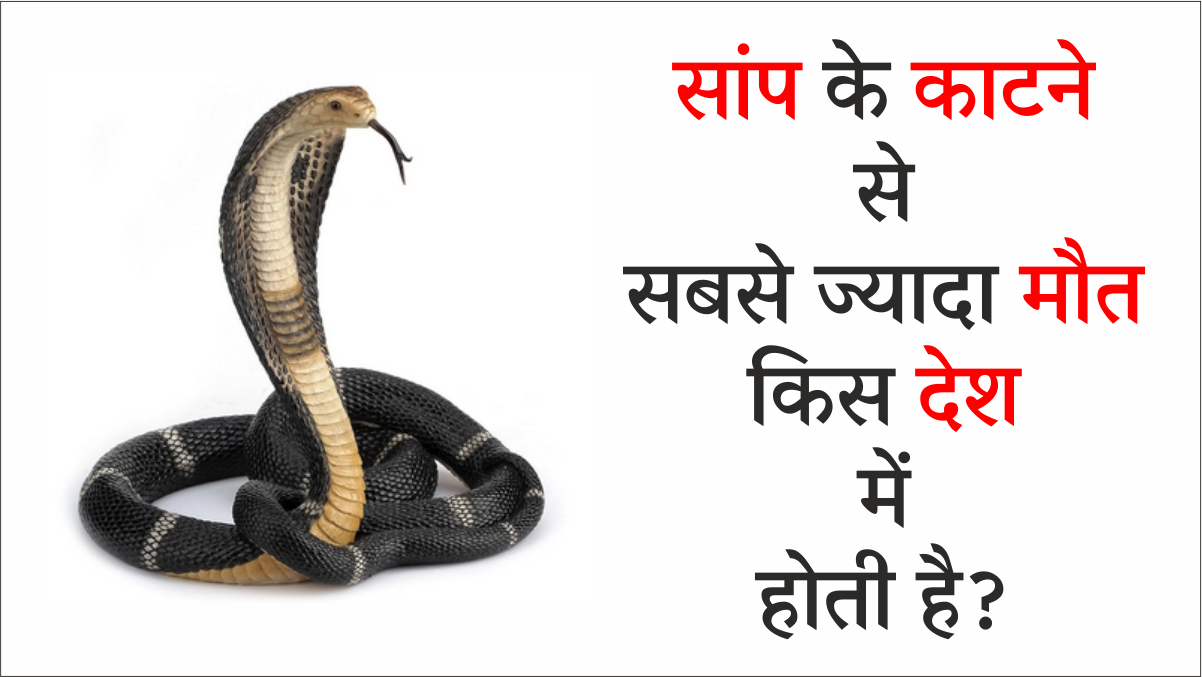 Most Snake Bite Deaths Country