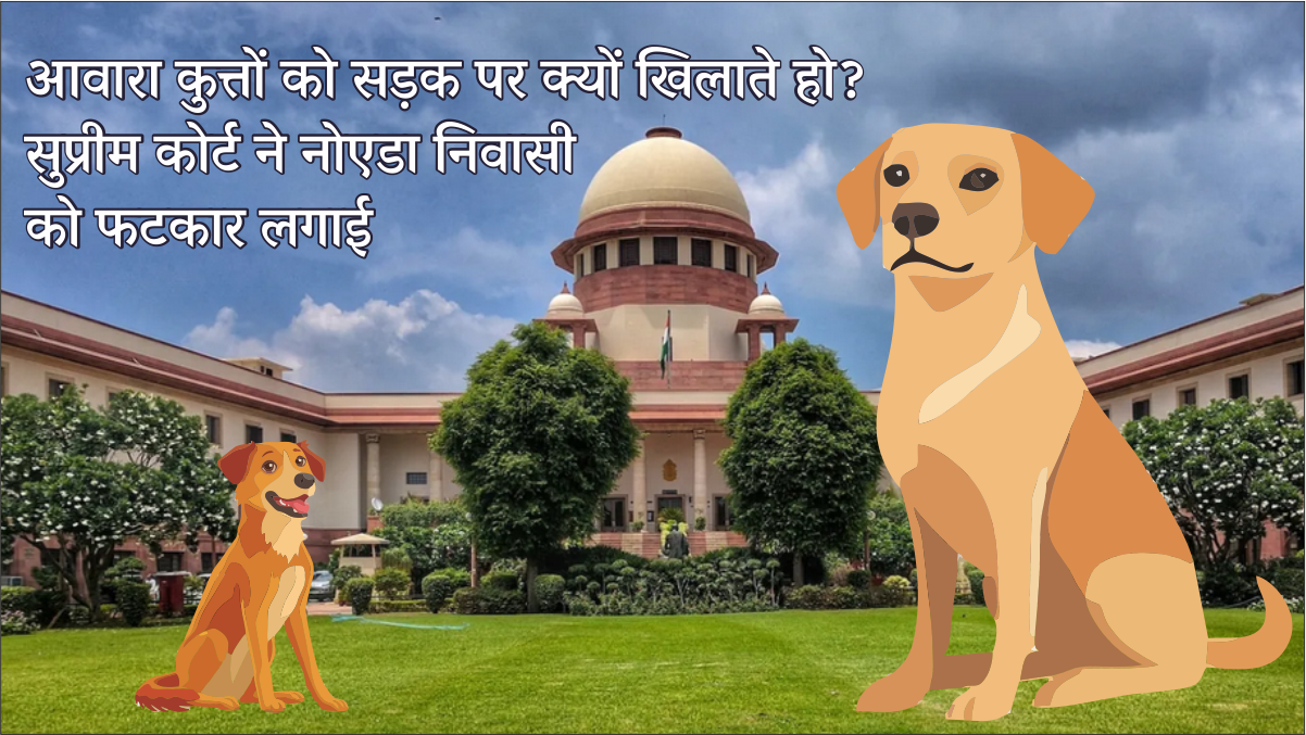 Supreme Court Delhi