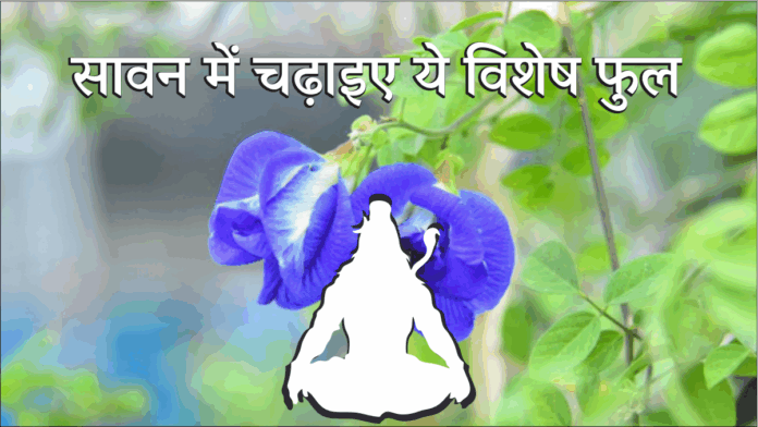 Sawan 2025 Om Shivay