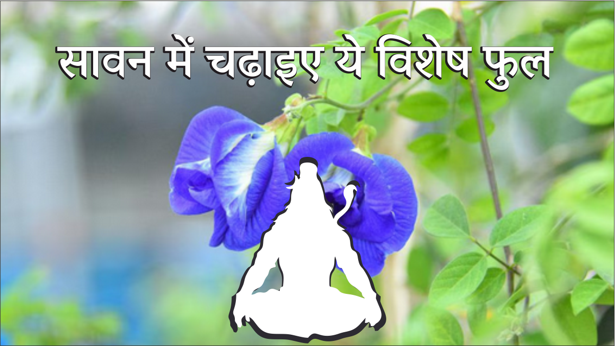 Sawan 2025 Om Shivay