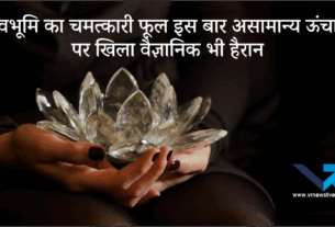 ब्रह्मकमल