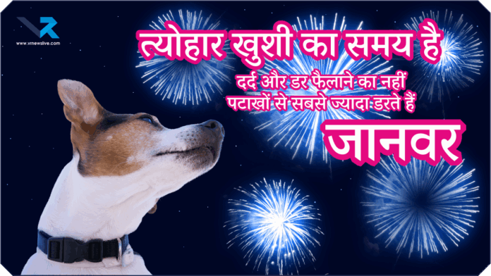 Say No To Patake Near Animals