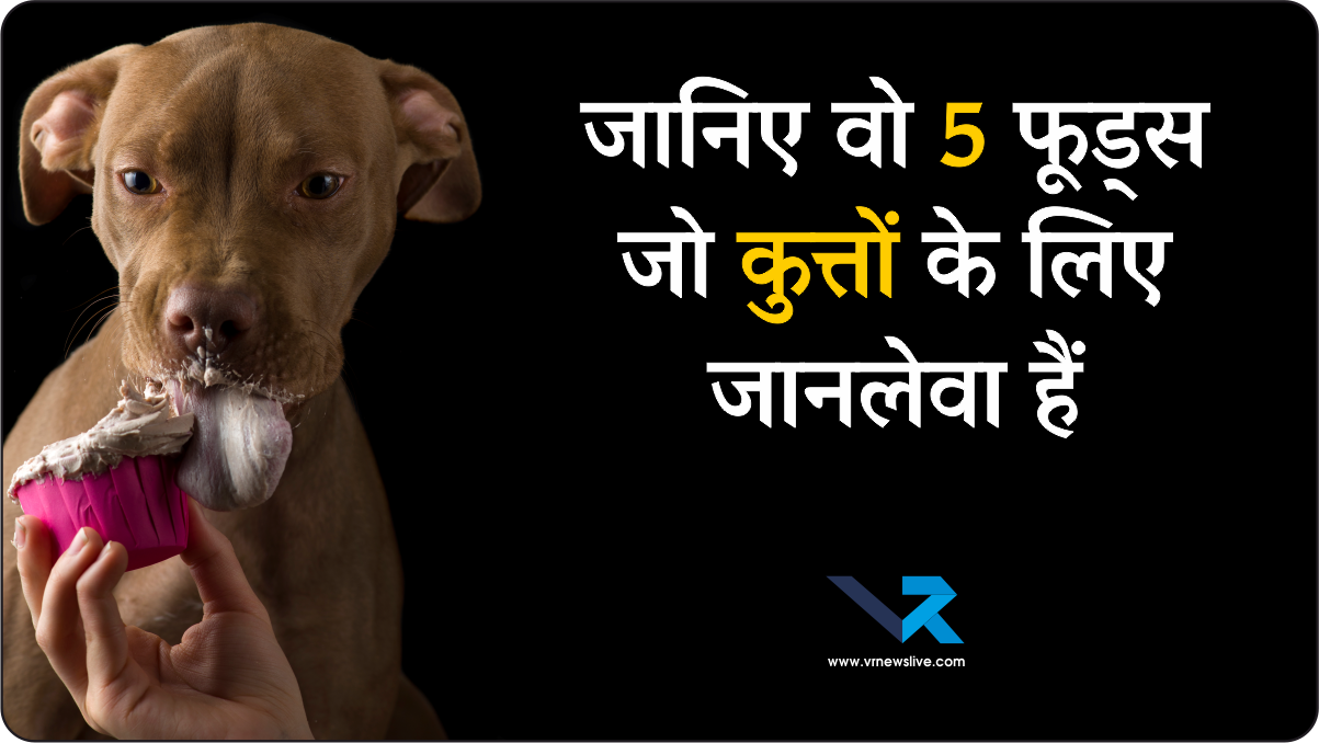 Dog Food Alert कुत्तों के लिए जहर साबित हो सकते हैं ये 5 इंसानी फूड! थोड़ी सी मात्रा भी बन सकती है जानलेवा