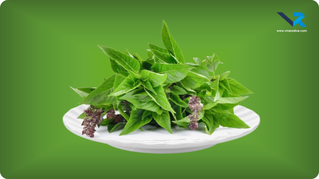 Tulsi Pujan Diwas 2025