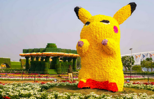 Ahmedabad Flower Show 2026