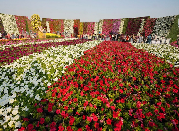 Ahmedabad Flower Show 2026