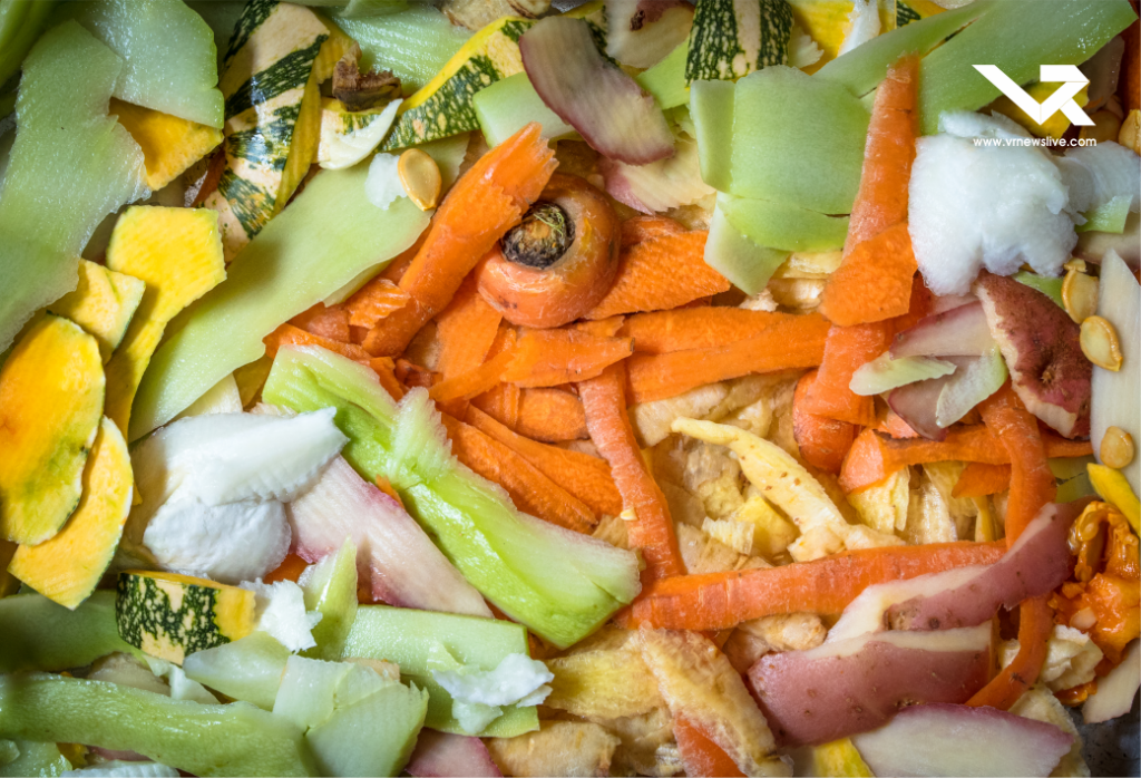 Fruits and Veges Peels Skin
