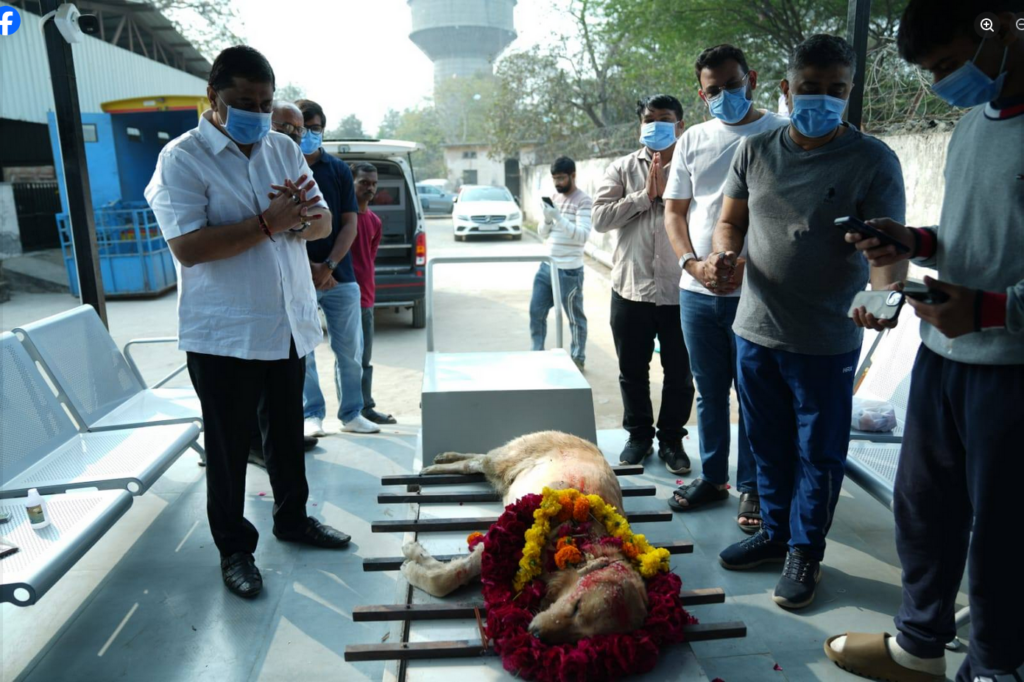 Ahmedabad Dog Crematorium