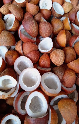 Coconuts Banned on flights