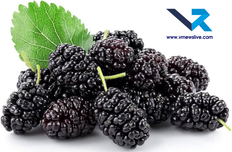 Black & Red Mulberry