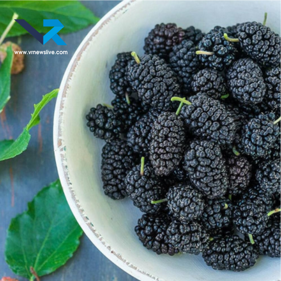 Black & Red Mulberry