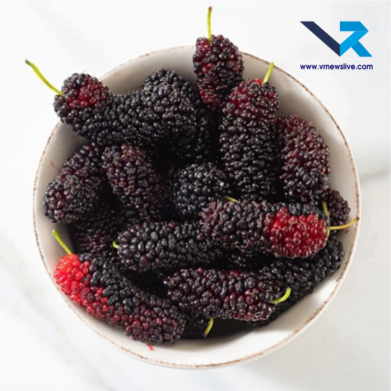 Black & Red Mulberry