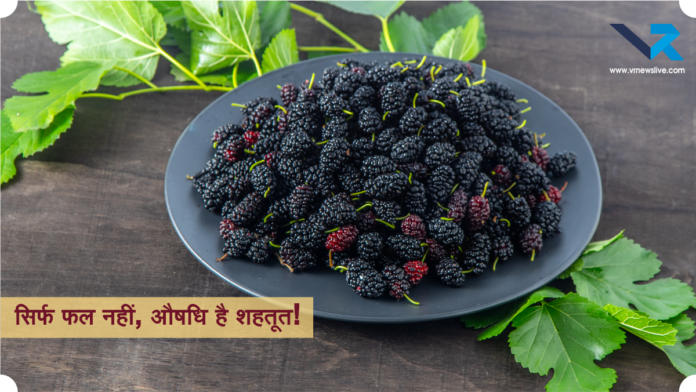 Black & Red Mulberry