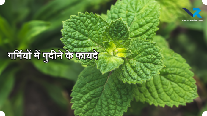 Mint Benefits