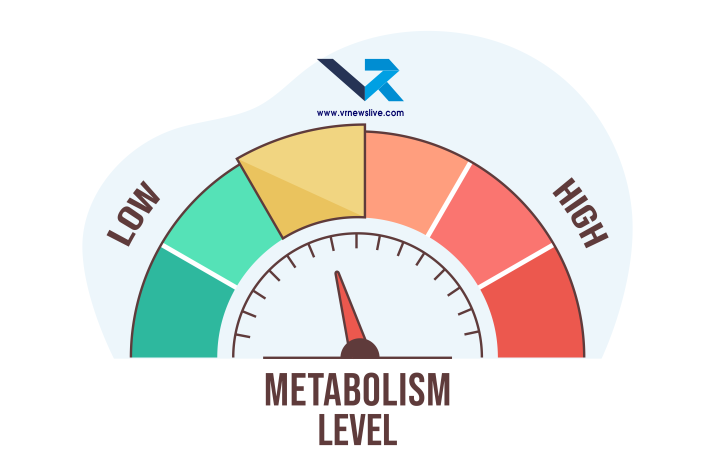 Morning Routine for Metabolism