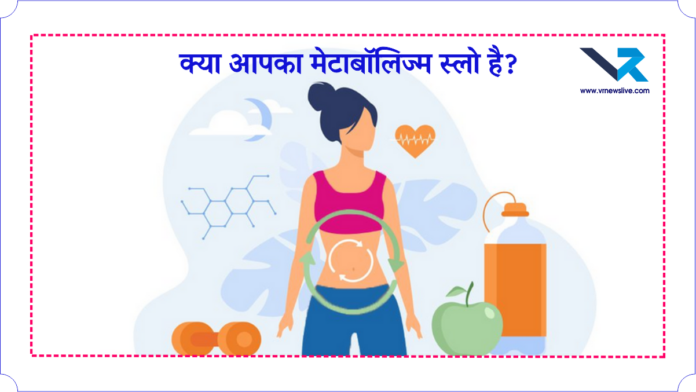 Morning Routine for Metabolism