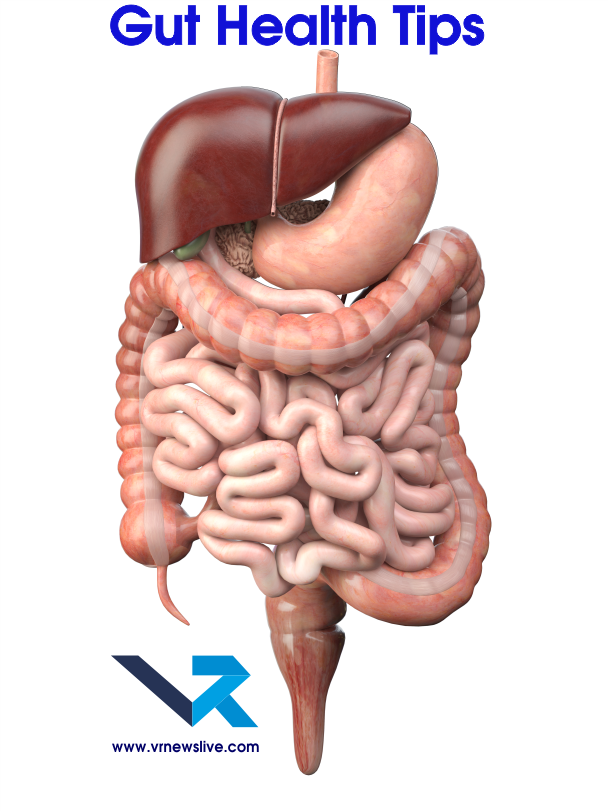 Gut Health Tips