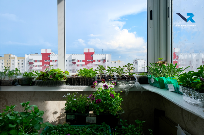 Terrace Cooling Ideas