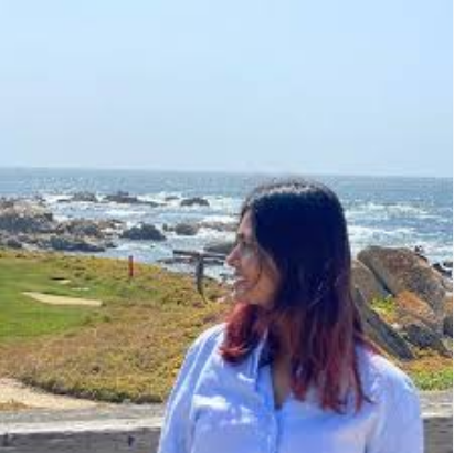 Women Interior Designer