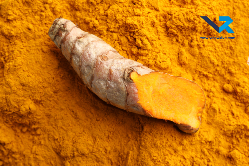 Turmeric City Of India