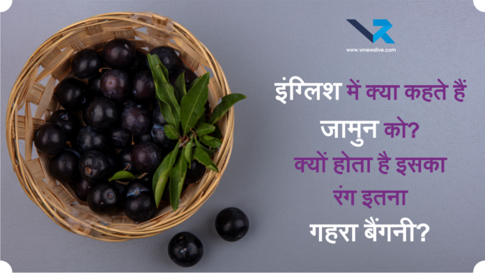 Superfood Jamun