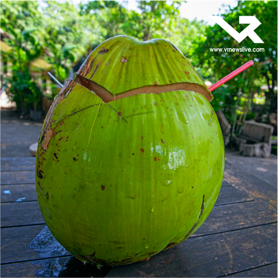 How Coconut Water Forms
