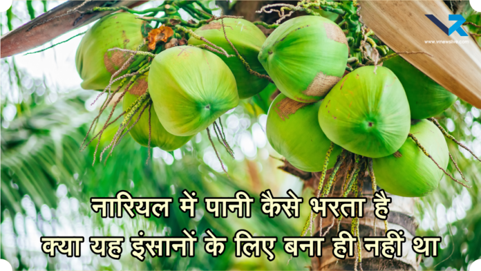 How Coconut Water Forms