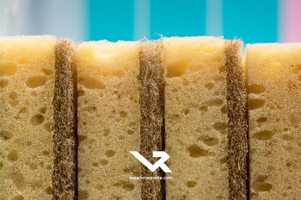 Kitchen Sponge Side Effects