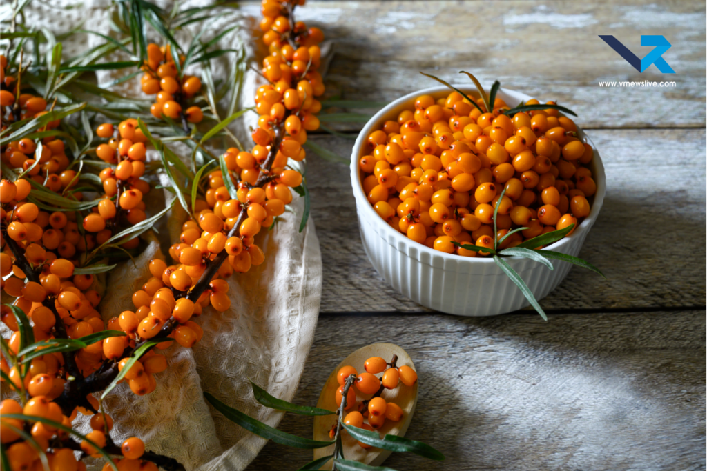 Sea Buckthorn
