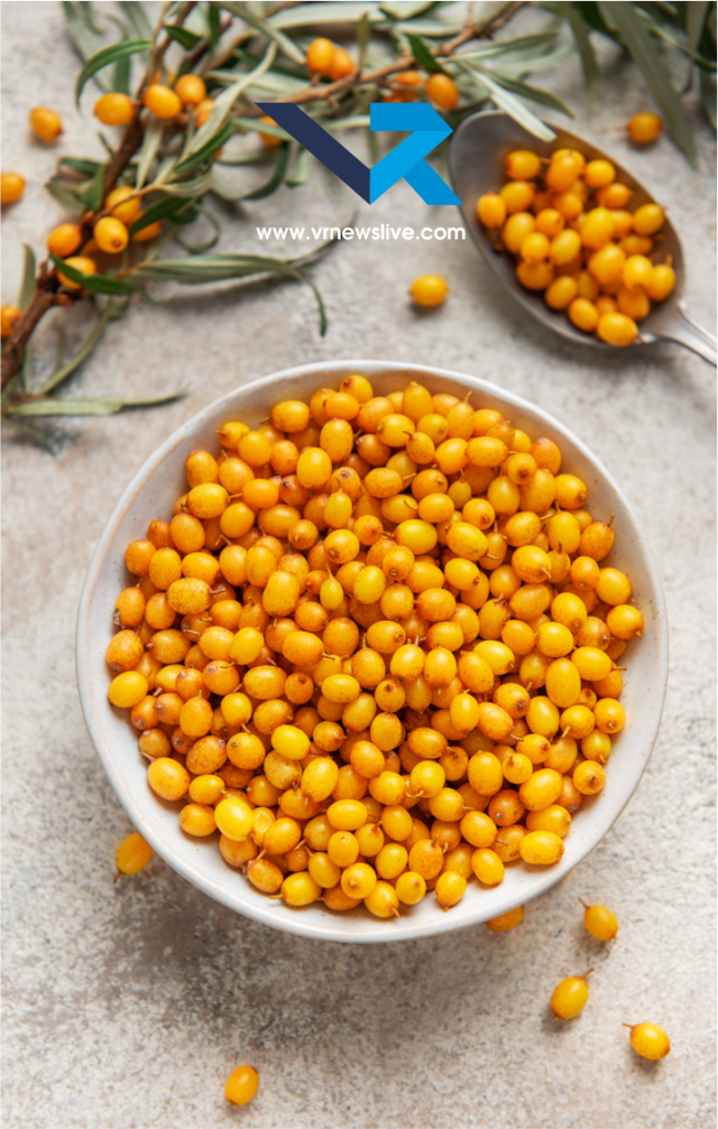 Sea Buckthorn