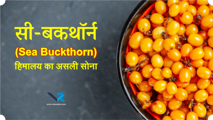 Sea Buckthorn