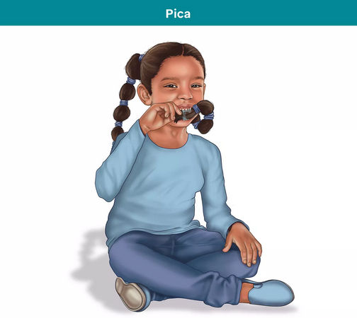 PICA Disorder