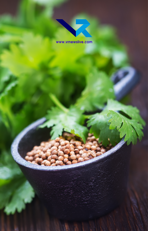 Grow Coriander In Water